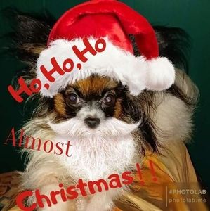 Meet your Posher, Louann